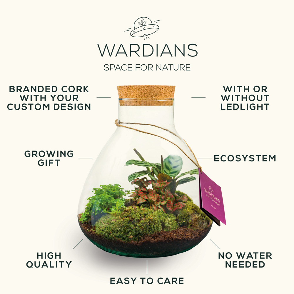 Wardians® Ecosystem - Cylinder small + Solar LED, Ohne Verpackung
