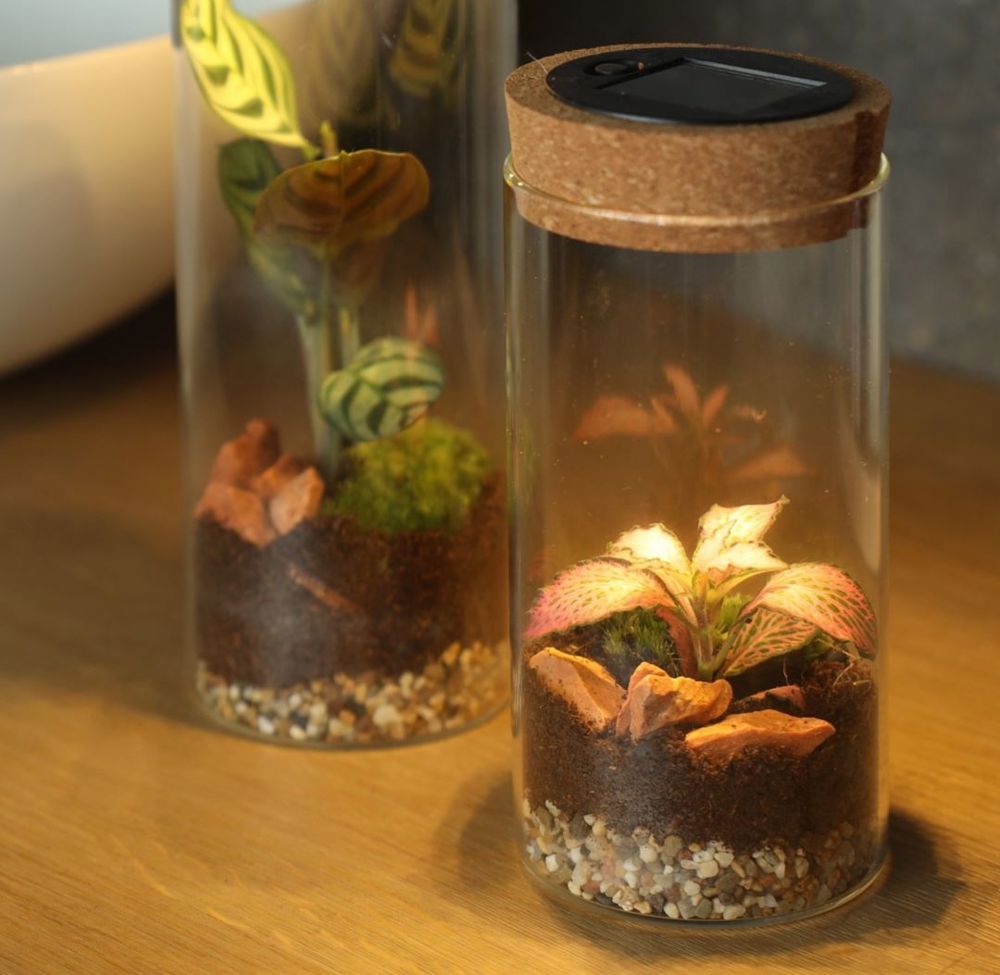 Wardians® Ecosystem - Cylinder small + Solar LED, Ohne Verpackung