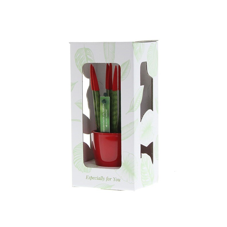 Sansevieria TOP-line - Velvet Touchz® small, Ohne Verpackung, Lila