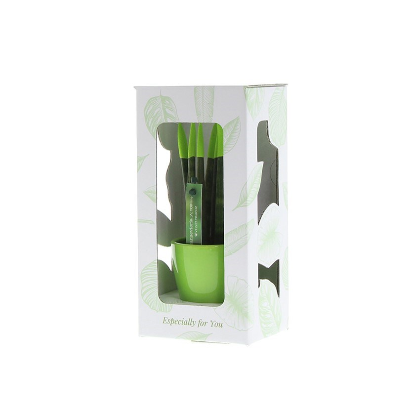 Sansevieria TOP-line - Velvet Touchz® small, Ohne Verpackung, Lila
