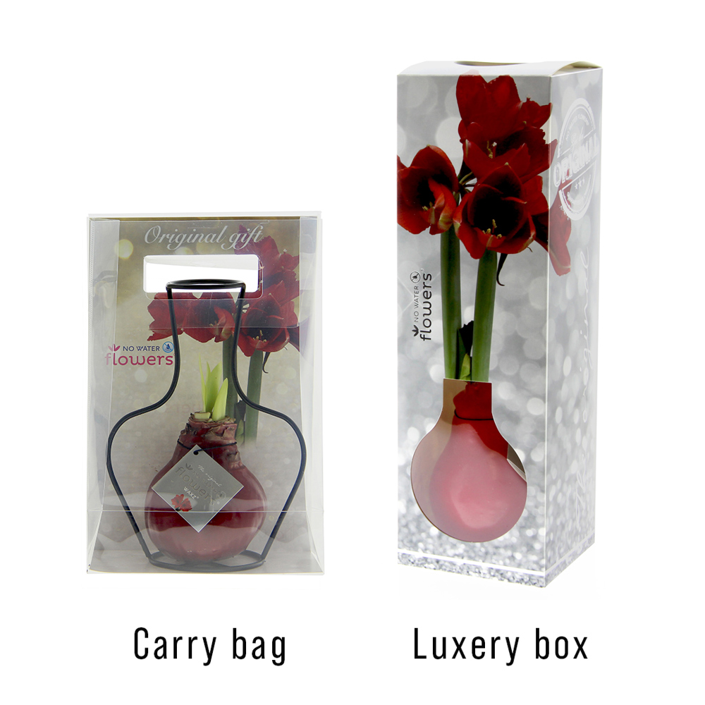 No Water Flowers® - Formz classic, In carry bag, Hellgrün